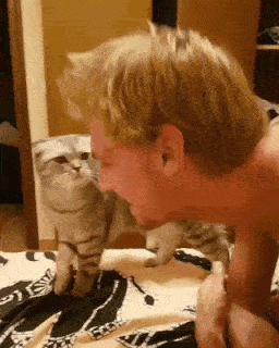 彼氏の猫と仲良くなりたいです