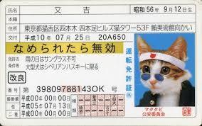 子供の頃、持ってたものにプラス!