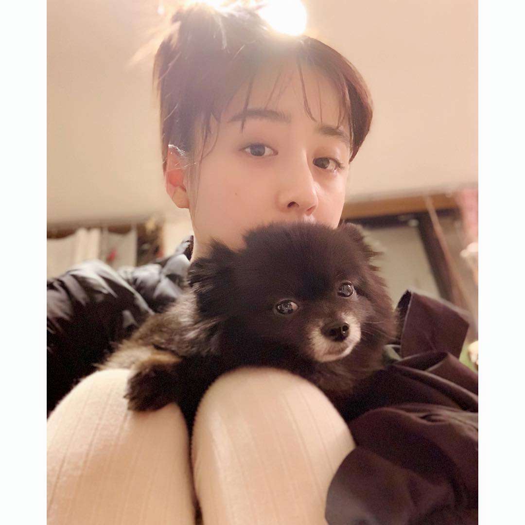 好きだったフジテレビの木10ドラマは?