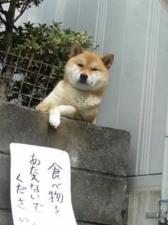 アンパンマンにありがちなこと