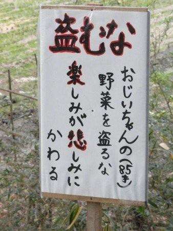 工藤静香、傷んだ野菜で作ったモノに衝撃　「手作り!?」「さすがです…」