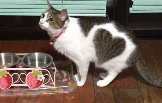 ちょっとみんな今何してる？