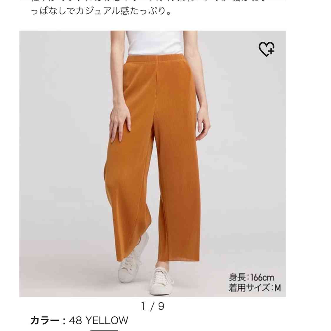 骨格ストレート総合　2019年・春～夏