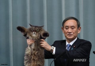【新作歓迎】ガルちゃん面白コラージュ作品を集めよう！part2