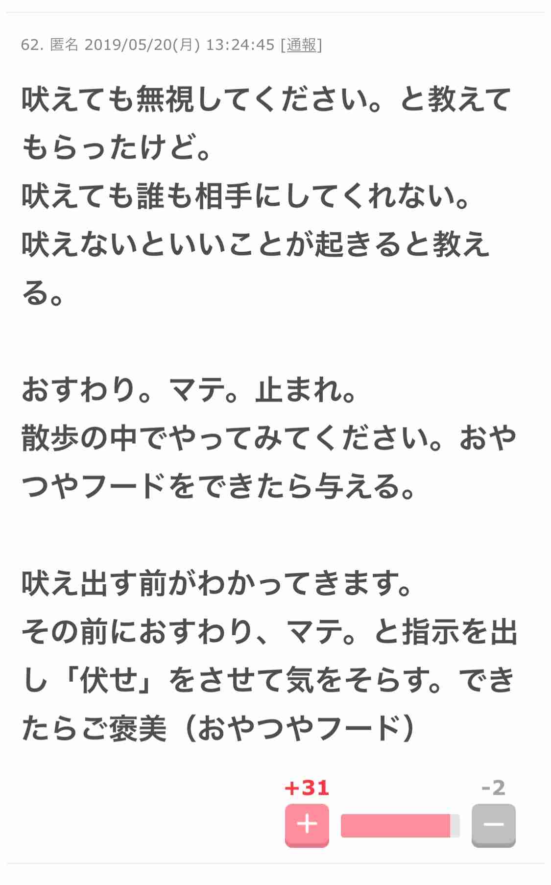 非常識な犬の飼い主について