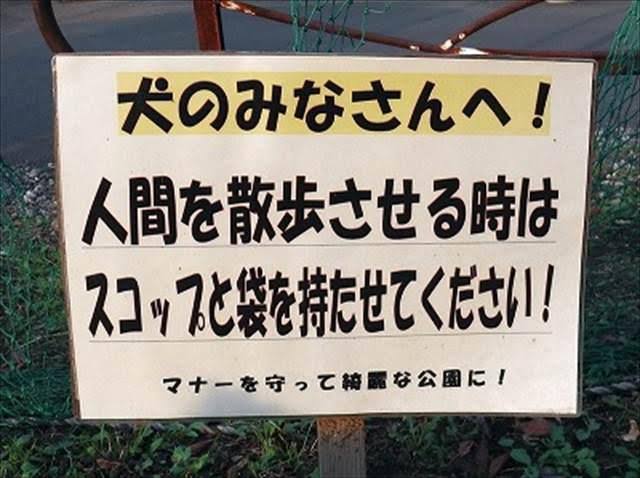 非常識な犬の飼い主について