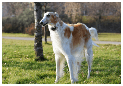 お金持ちの世界を知りたい!