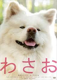 最近減少傾向にある生き物