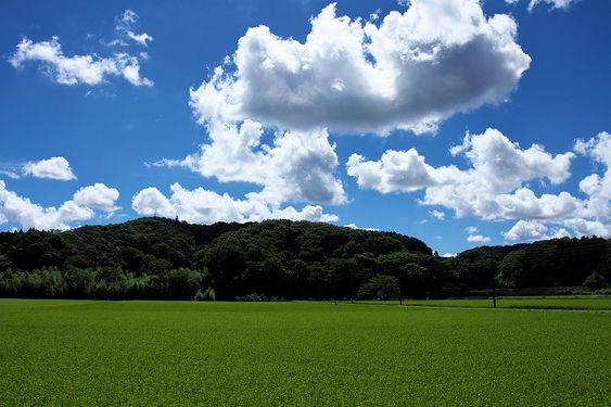 どこか切ない夏の画像を貼っていくトピpart3