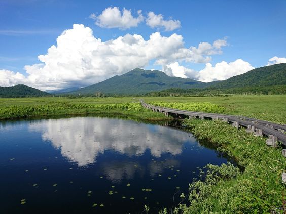 どこか切ない夏の画像を貼っていくトピpart3