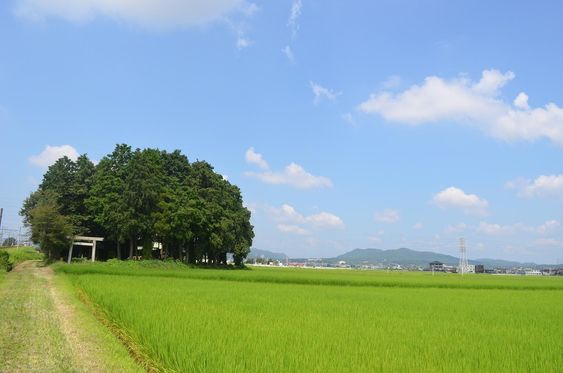 どこか切ない夏の画像を貼っていくトピpart3