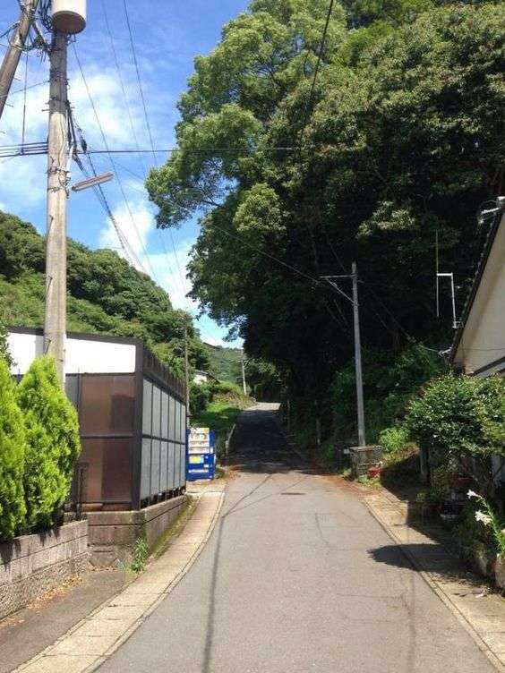 どこか切ない夏の画像を貼っていくトピpart3