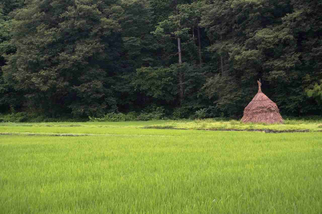 どこか切ない夏の画像を貼っていくトピpart3