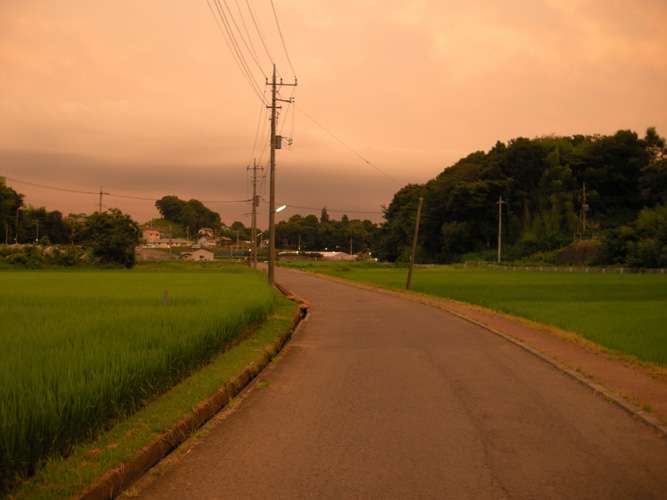 どこか切ない夏の画像を貼っていくトピpart3
