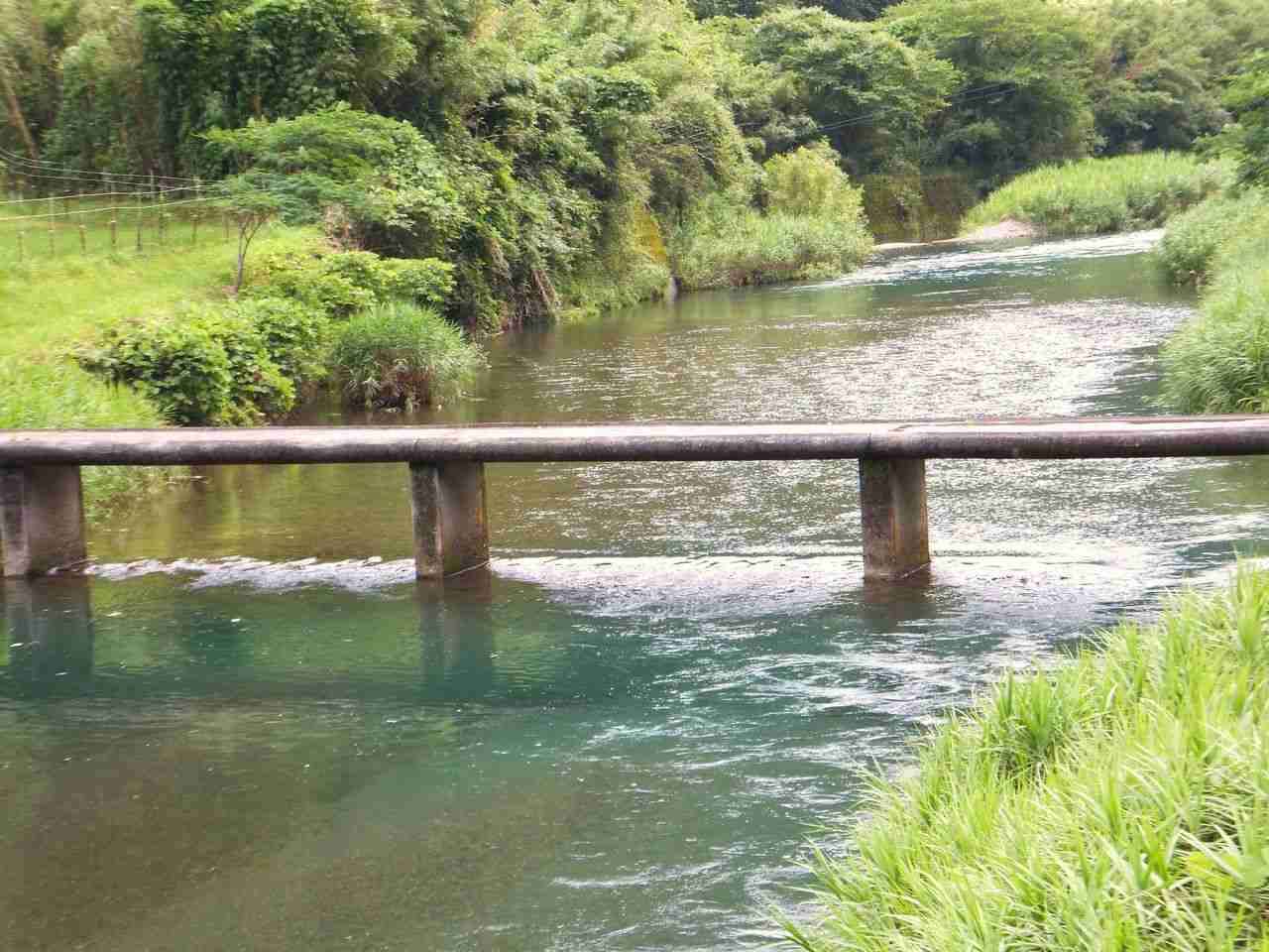 どこか切ない夏の画像を貼っていくトピpart3