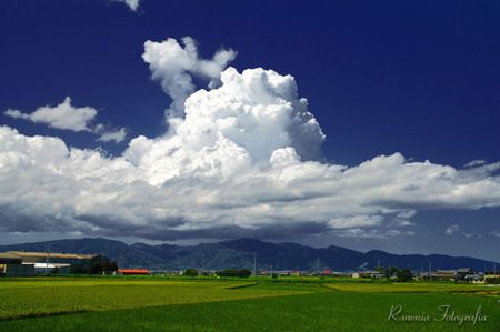 どこか切ない夏の画像を貼っていくトピpart3