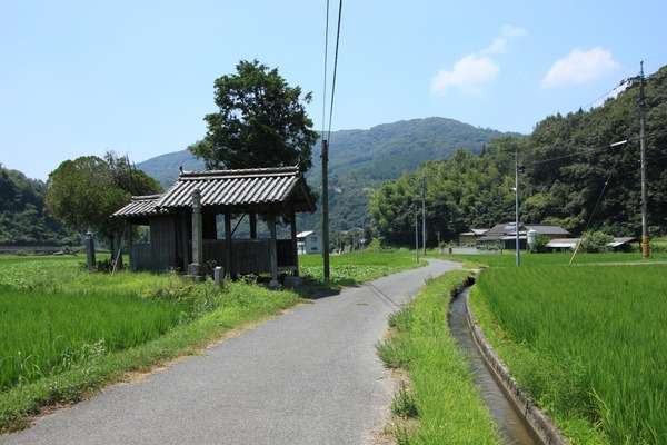 どこか切ない夏の画像を貼っていくトピpart3