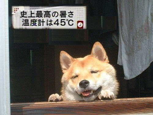 どこか切ない夏の画像を貼っていくトピpart3