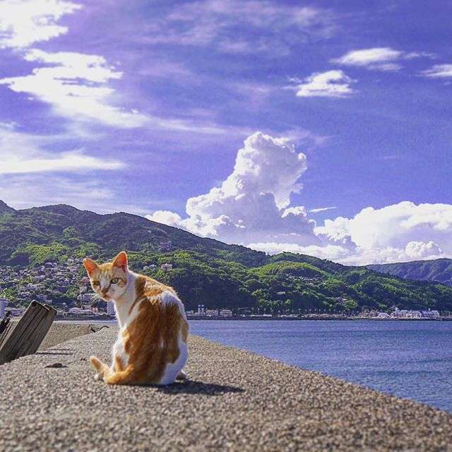 どこか切ない夏の画像を貼っていくトピpart3