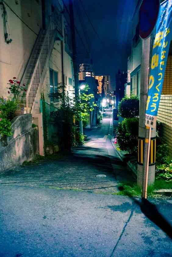 どこか切ない夏の画像を貼っていくトピpart3