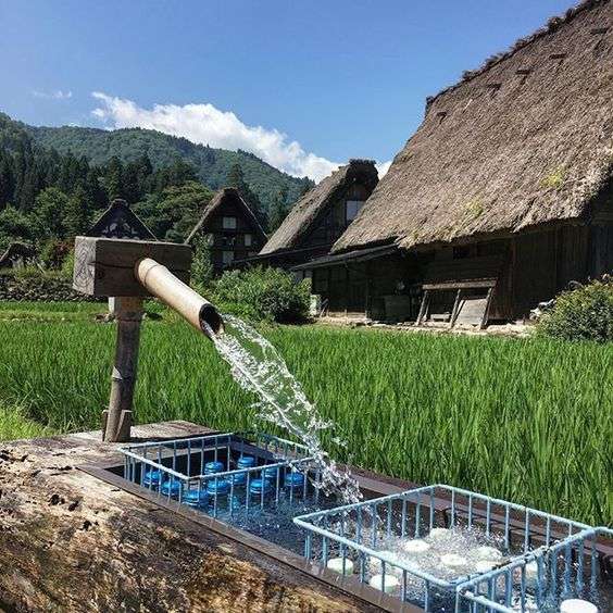どこか切ない夏の画像を貼っていくトピpart3