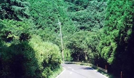 どこか切ない夏の画像を貼っていくトピpart3