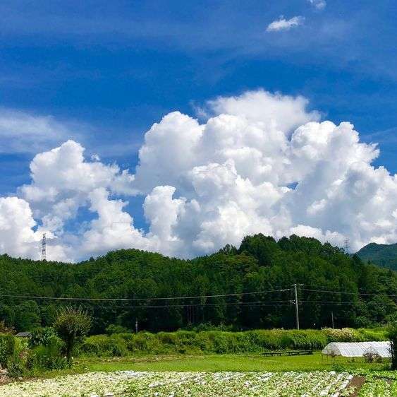 どこか切ない夏の画像を貼っていくトピpart3