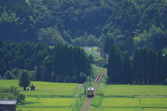 どこか切ない夏の画像を貼っていくトピpart3