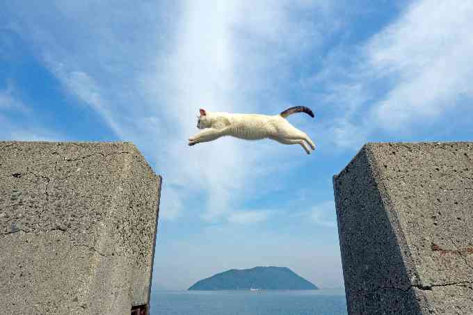 どこか切ない夏の画像を貼っていくトピpart3