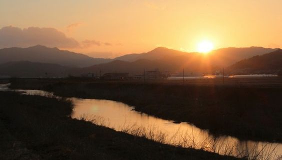 どこか切ない夏の画像を貼っていくトピpart3