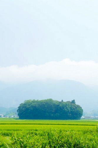 どこか切ない夏の画像を貼っていくトピpart3