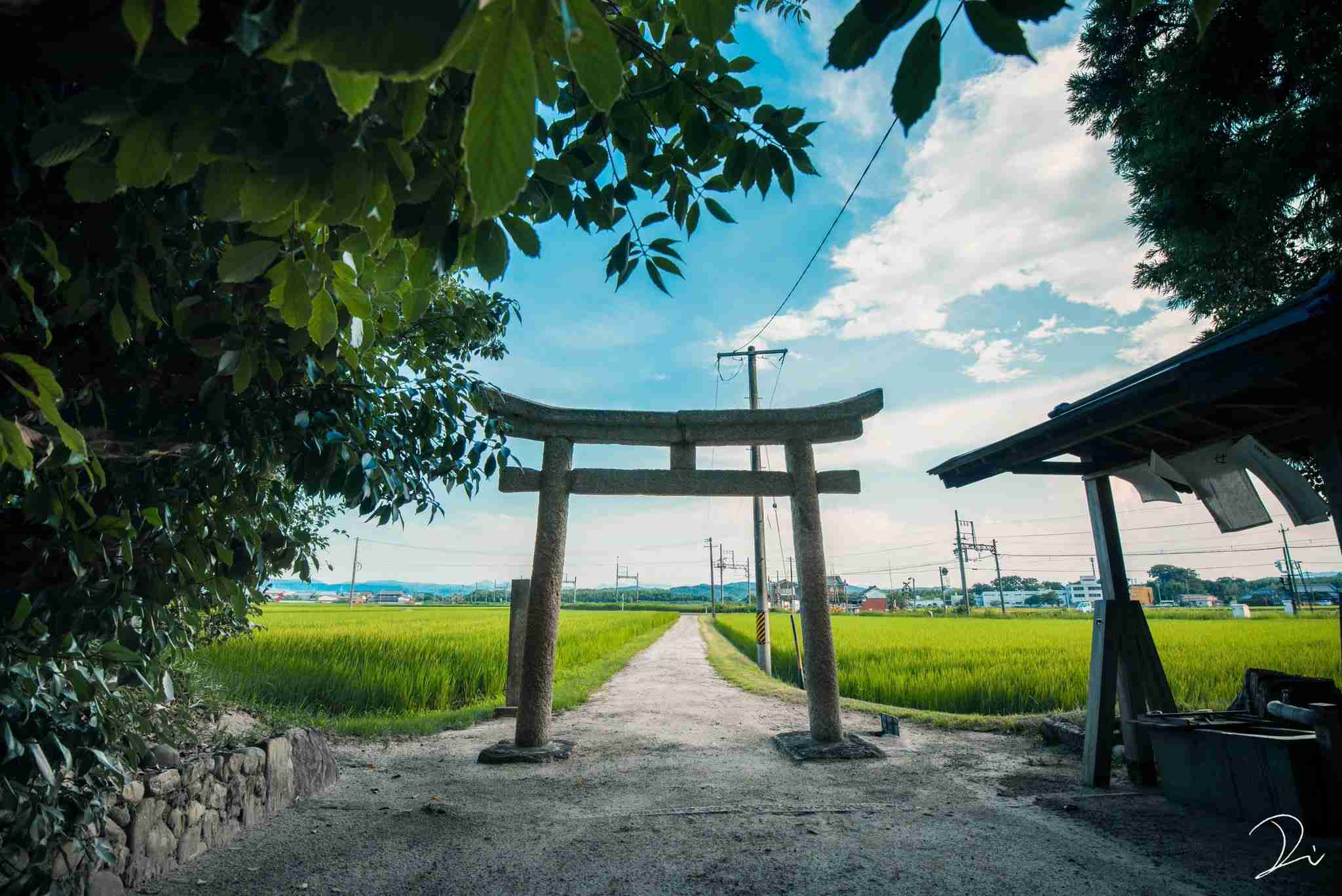 どこか切ない夏の画像を貼っていくトピpart3