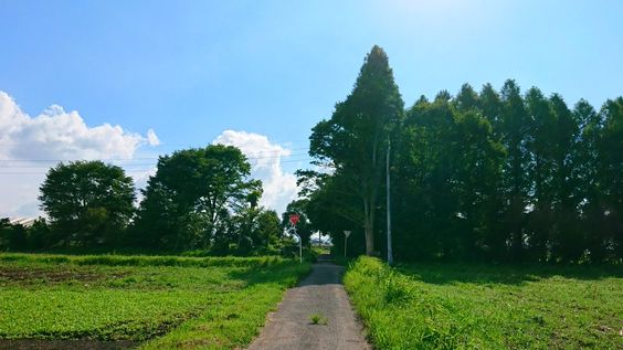 どこか切ない夏の画像を貼っていくトピpart3