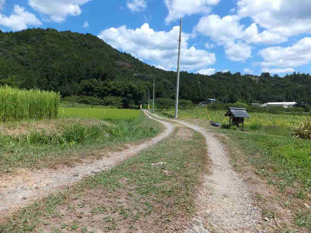 どこか切ない夏の画像を貼っていくトピpart3