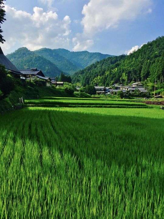 どこか切ない夏の画像を貼っていくトピpart3