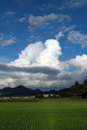 どこか切ない夏の画像を貼っていくトピpart3