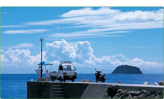 どこか切ない夏の画像を貼っていくトピpart3