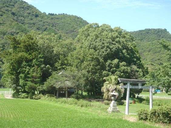 どこか切ない夏の画像を貼っていくトピpart3