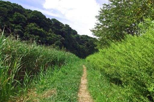 どこか切ない夏の画像を貼っていくトピpart3