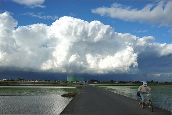どこか切ない夏の画像を貼っていくトピpart3