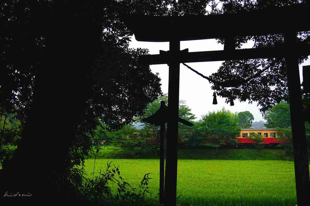 どこか切ない夏の画像を貼っていくトピpart3