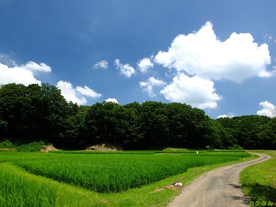 どこか切ない夏の画像を貼っていくトピpart3