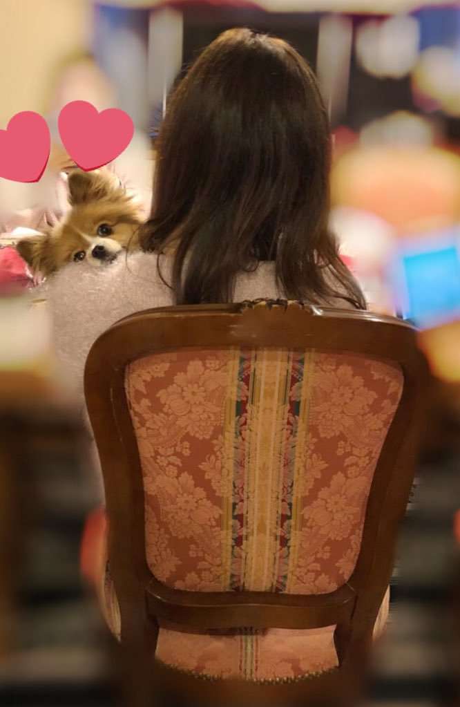 更迭された「NGT48」前支配人が初告白「山口真帆」襲撃犯との癒着を否定