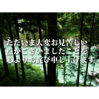 昭和レトロな物がみたい