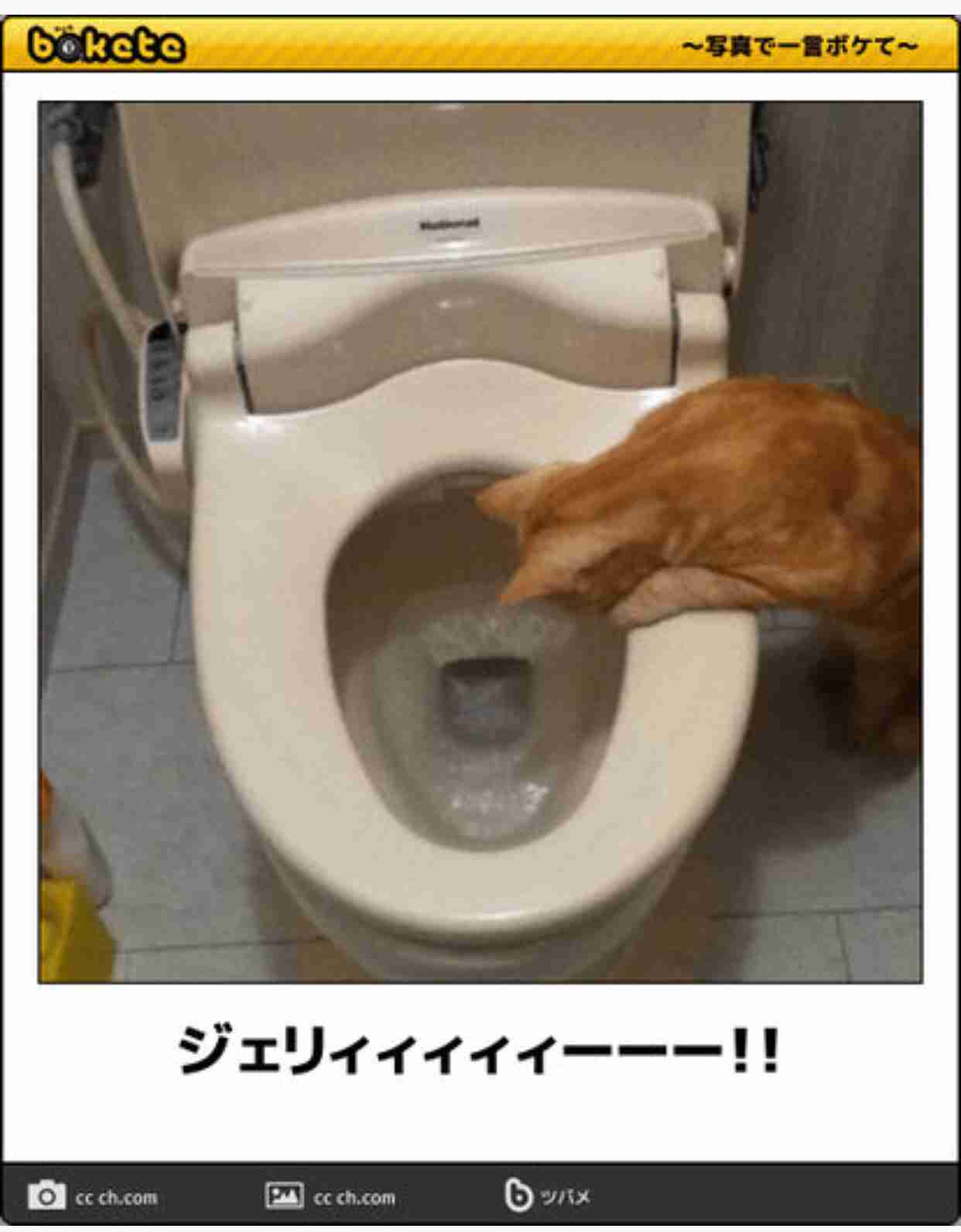 予言を信じてしまう