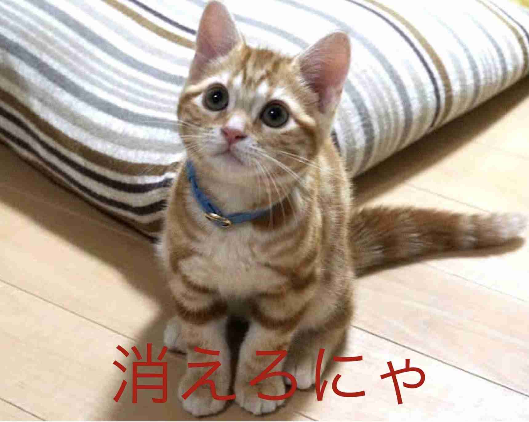 人を誘うのが怖い