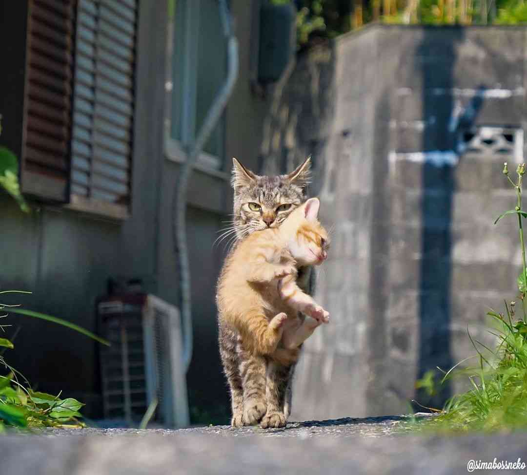 ママ友と子連れでの遠出