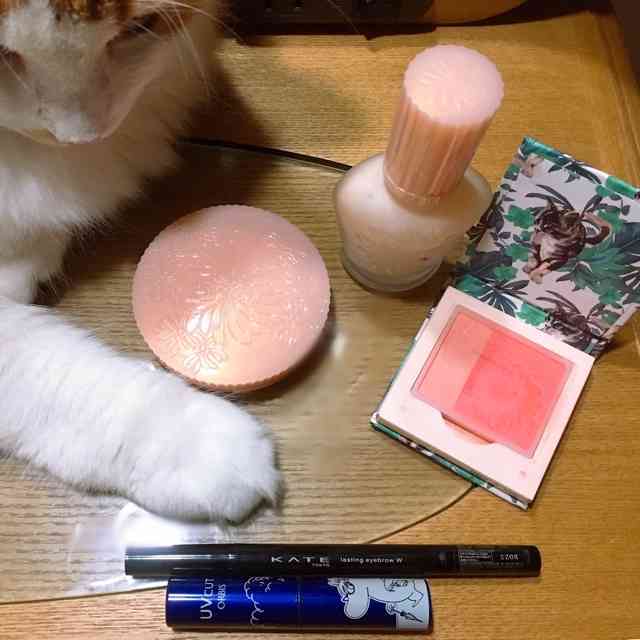 今日のメイクに使ったコスメを見せて下さい【part9】