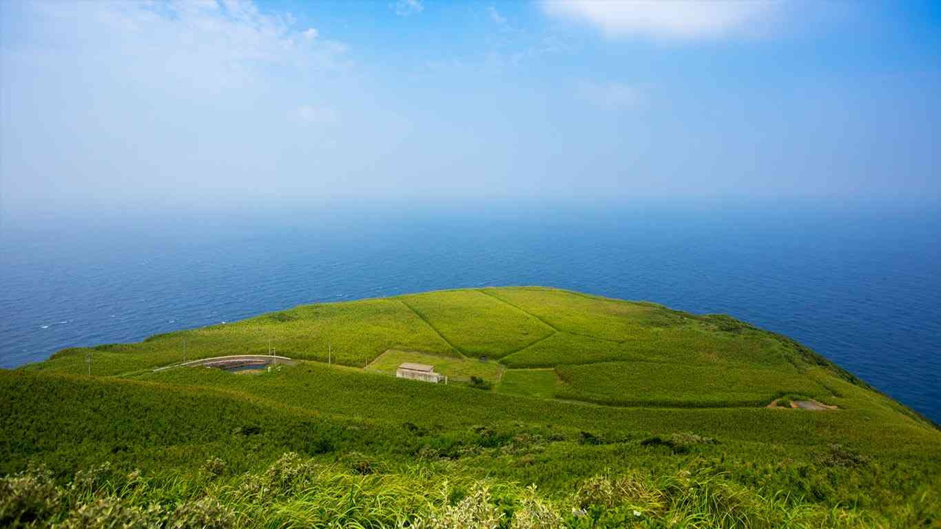 美しい新緑・若葉の画像で目の保養をするトピ♪