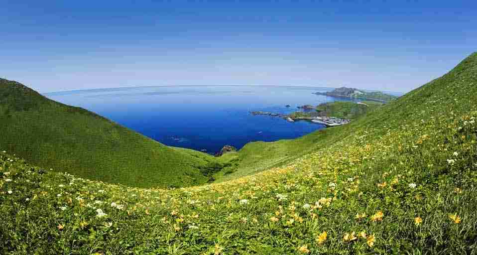 美しい新緑・若葉の画像で目の保養をするトピ♪